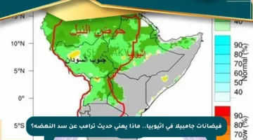 فيضانات جامبيلا في إثيوبيا.. ماذا يعني حديث ترامب عن سد النهضة؟